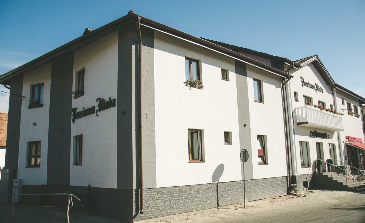 Pensiunea Iliada Sibiu Dış mekan fotoğraf
