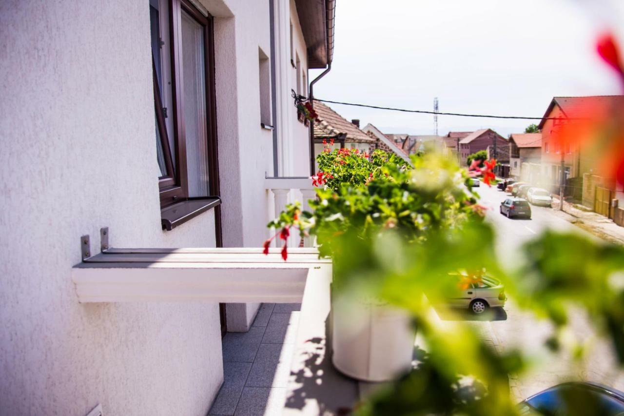 Pensiunea Iliada Sibiu Dış mekan fotoğraf